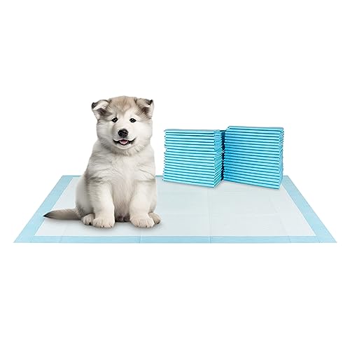 XXL Puppy Pads 20 Count 36" x 30" (XXL / 20-Count (Standard))