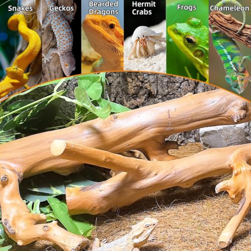 2PCS Snake Climbing Branch (Polished Reptile Climbing Wood)