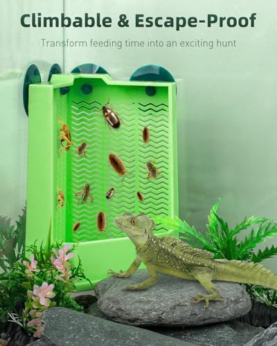 Reptile Feeder Bowl (Corner Mounted Feeding Dish / Large)