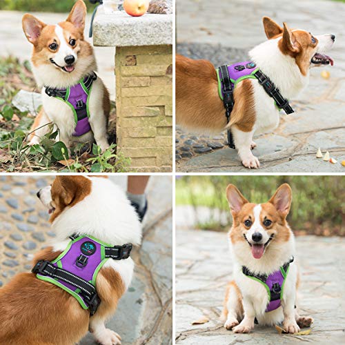 2019 Upgraded No Pull Dog Harness (Purple / Large)