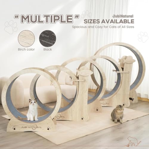 50" XL Cat Exercise Wheel (BLACK / 50")
