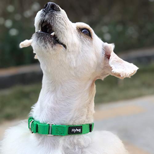 Martingale Dog Collars for Medium Dogs (Medium / Lime Green)