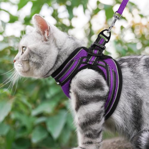 Cat Harness and Leash Set (M / Purple)