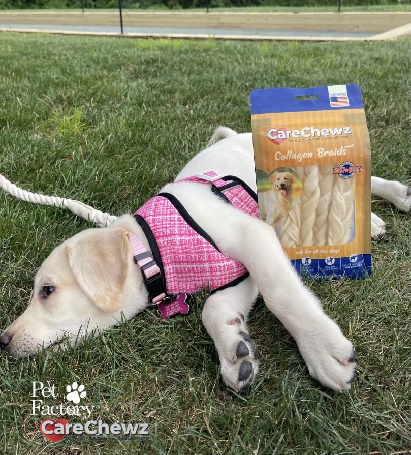 CareChewz Beef Collagen Dog Treats (4.32 Ounce (Pack of 1))