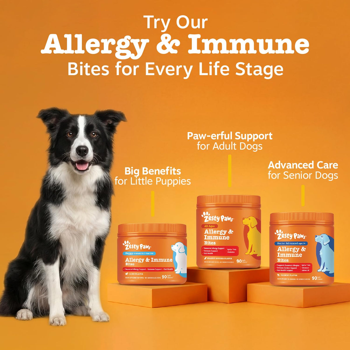 Senior Dog Allergy Chews (90 Count (Pack of 1) - Advanced)