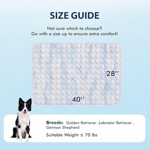 Summer Cooling Mat & Sleeping Pad (40" x 28" / Blue White)
