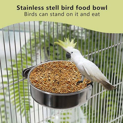 Bird Feeding Dish Cups Stainless Steel (Small / 4 Pack)