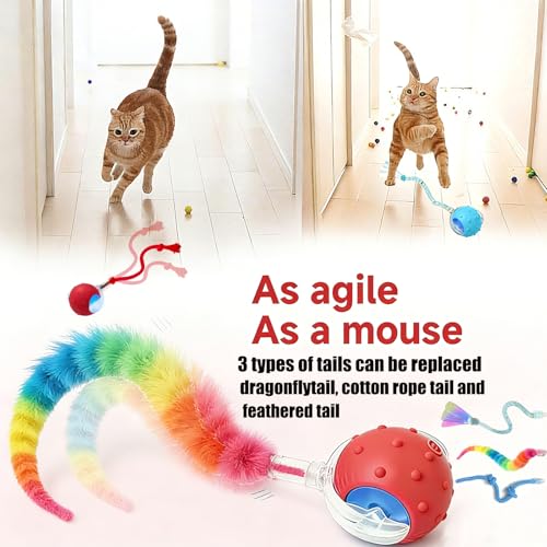 2PCS Interactive Cat Toys for Indoor Cats with 6 Tails (2pc R+B)
