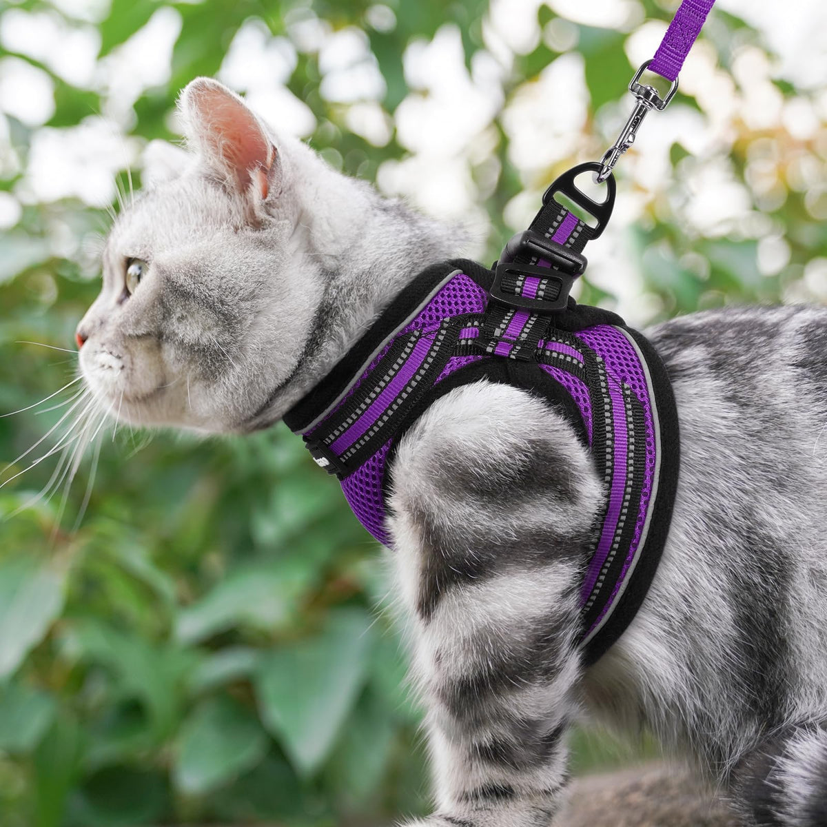 Cat Harness and Leash Set (L / Purple)
