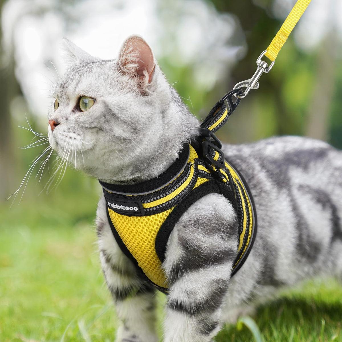 Cat Harness and Leash Set (M / Bright Yellow)
