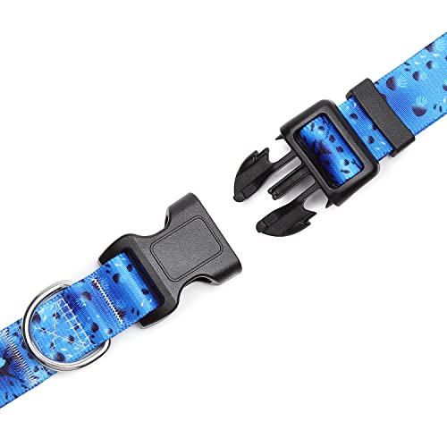 Adjustable Dog Collar (Extra Small / Blue Ocean)