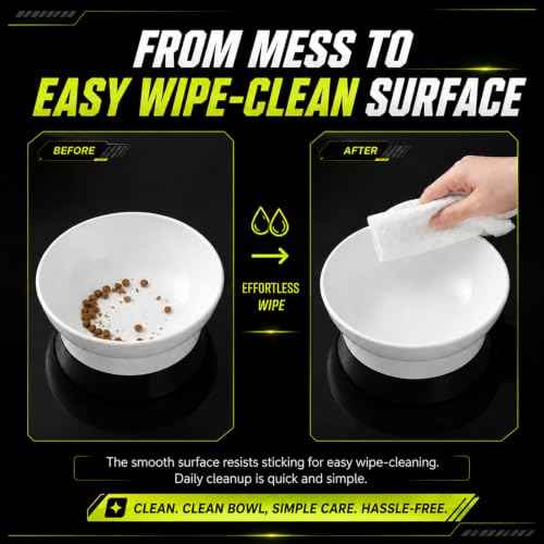 Raised Cat Bowl (White)