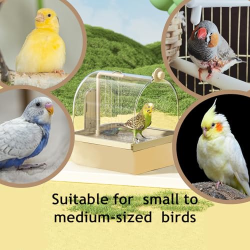 Bird Bath for Cage Clear Automatic Pump Parrot Shower for Parakeets Finches (Light brown)