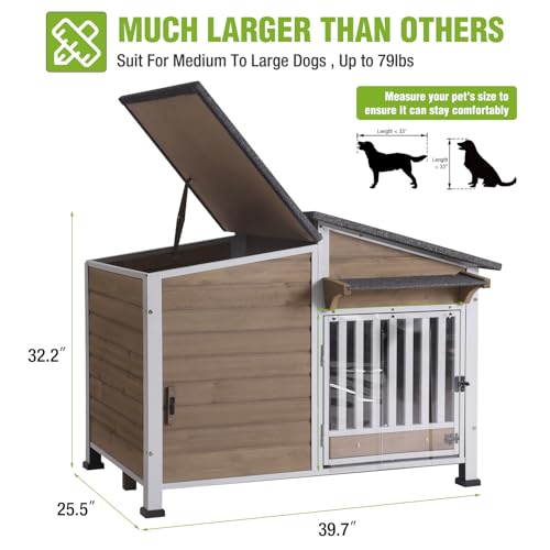 Dog House Outdoor Dog Kennel with Chew