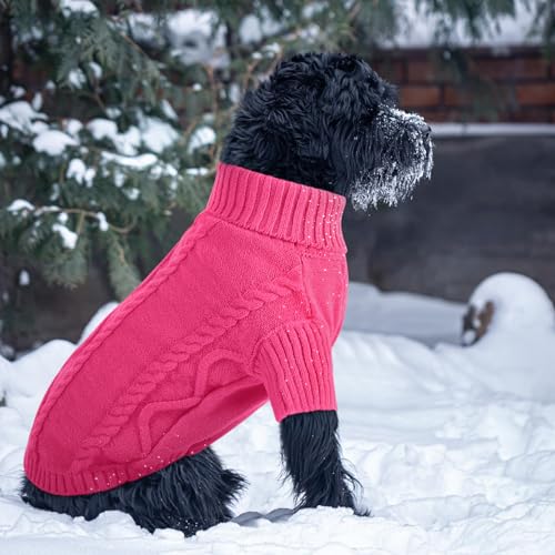 Small Dog Sweater for Small Dogs Girl (X-Small / Fuchsia)