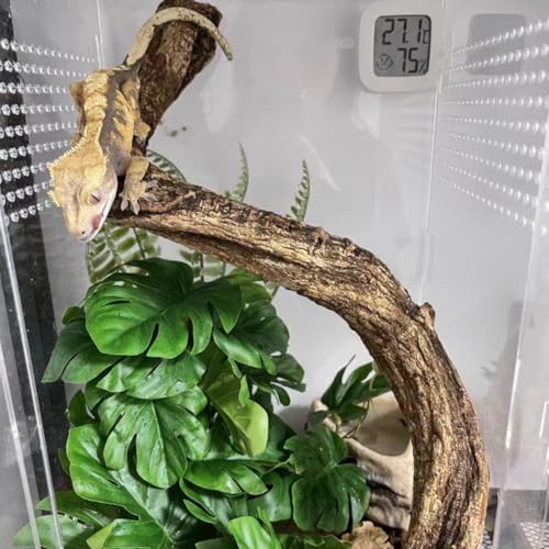 Fake Reptile Plants for Terrarium (Fake Monstera)