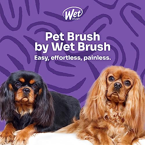 Pet Hair Brush
