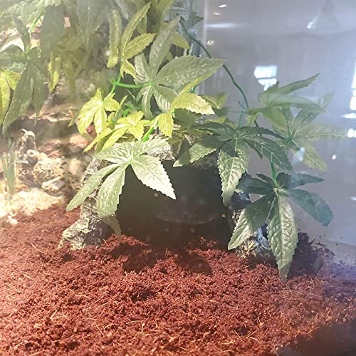 Reptile Rock Hideout Cave (hideout)