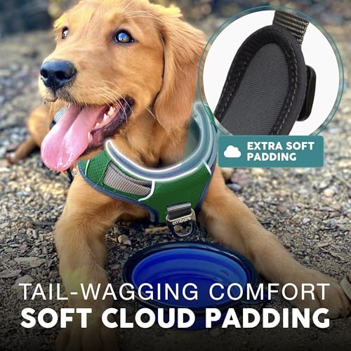 Embark No Pull Dog Harness (XS / Green)