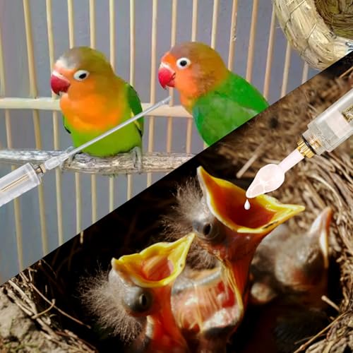 8 Pcs Baby Bird Feeding Syringe Set Parrot Hand Feeding Tubes (30ml-Set of eight)