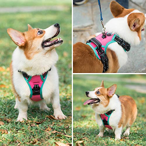 Upgraded No Pull Dog Harness (Pink / Extra Small)