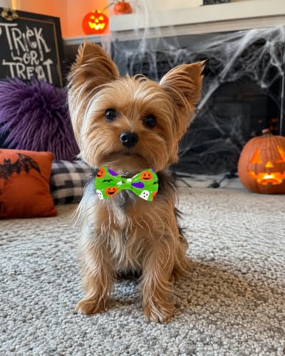 5 Pack Halloween Dog Bowties for Small Dogs Slide on Collar (S/M)