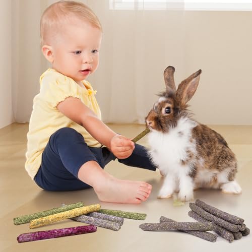 52Pcs Rabbit Chew Sticks (52Pack-Sticks)
