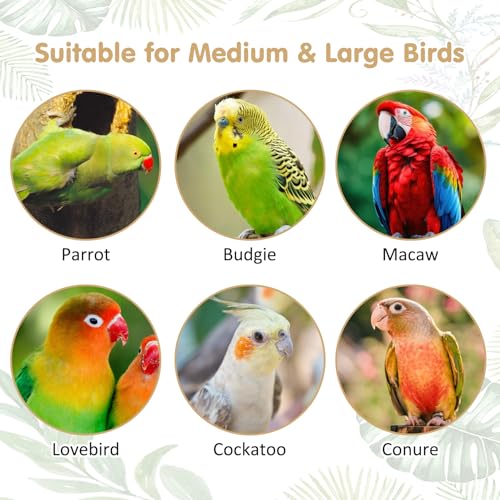 3 Sizes Natural Parrot Perch Grape Wood Bird Stand Pole Parakeet Paw Grinding Fork Chewable Climbing Branches Toy Bird Cage Accessories for Budgies Conures Cockatiels Lovebirds (5.9+7.9+9.8in)