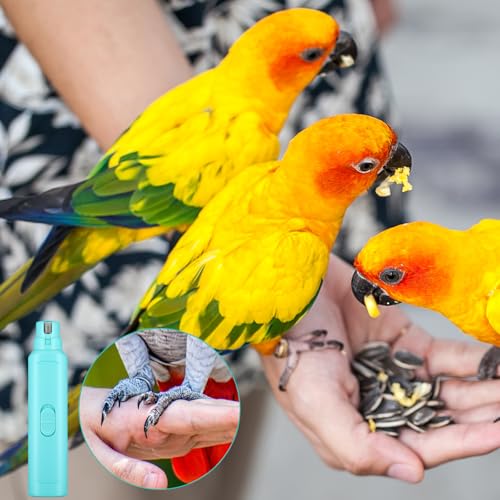 2 Pcs Bird Nail Grinder with Clipper Bird Nail Trimmer File Pet Grooming Tool for Parrot Budgerigars Parakeets Myna Conure Finches Lovebirds (Cyan Blue)