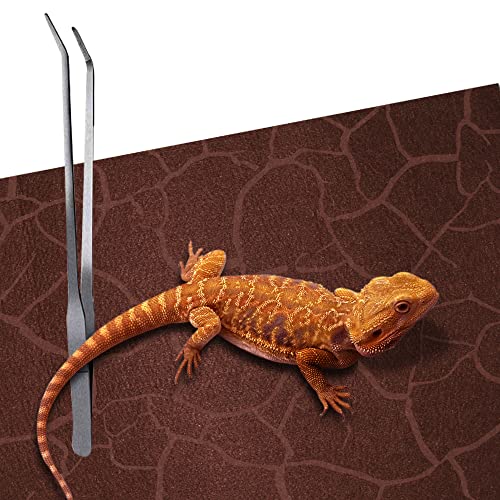 2 Pack Reptile Carpet Desert Reptile Mat & Reversible Substrate (10 Gallon)