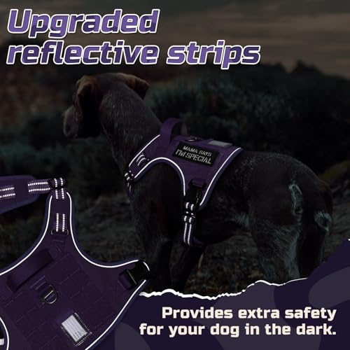 Tactical Dog Harness for Large (Purple / Large)
