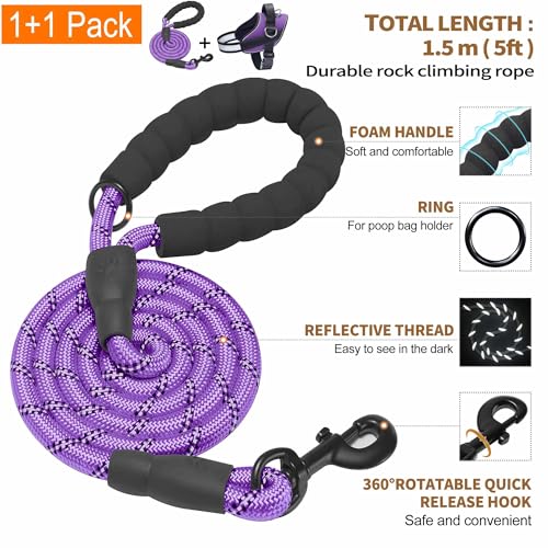 Essential Dog Harness (XL / Purple)