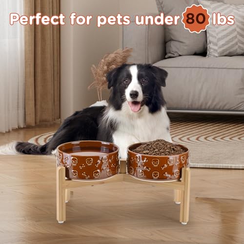 Elevated Dog Bowls Ceramic (7.3 in - 5.3 cups / Bronze - Skull)
