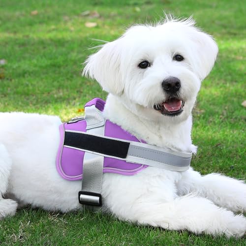 Dog Harness No (Small (Pack of 1) / Lavender)