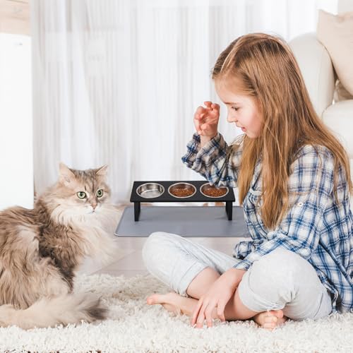 Stainless Steel Raised Cat Food Bowl for 3 Bowls
