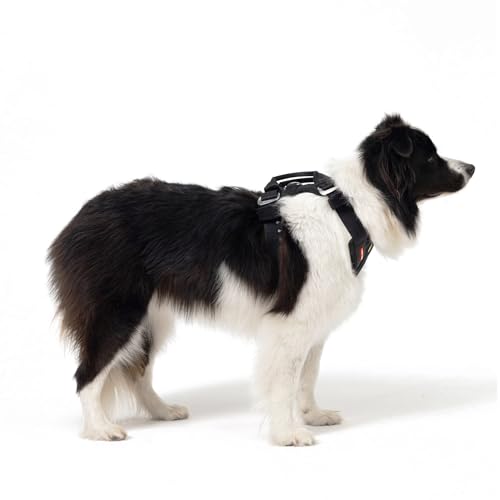 Drive Dog Car Harness (Black / Large)