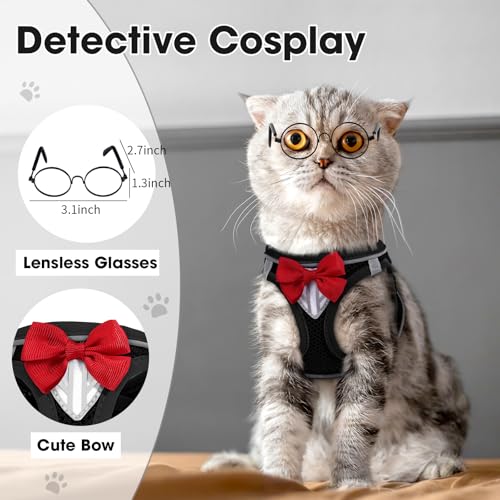 Cat Vest Harness and Leash Set (Black / S)