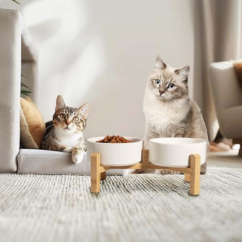 Elevated Ceramic Dog Bowl (White / Small)