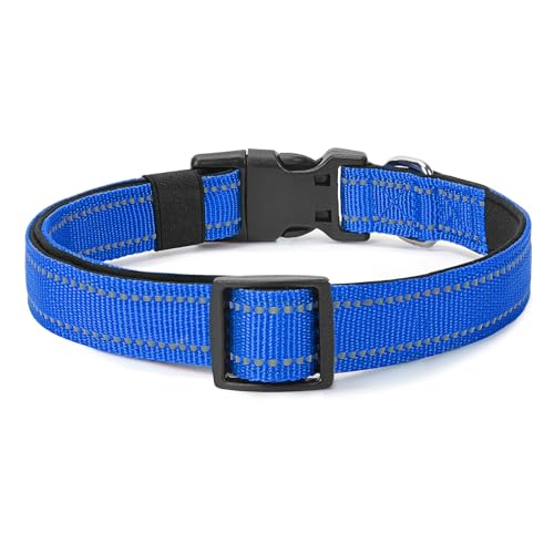 Reflective Dog Collar (Blue / M:width 3/4"neck 14-20.5")