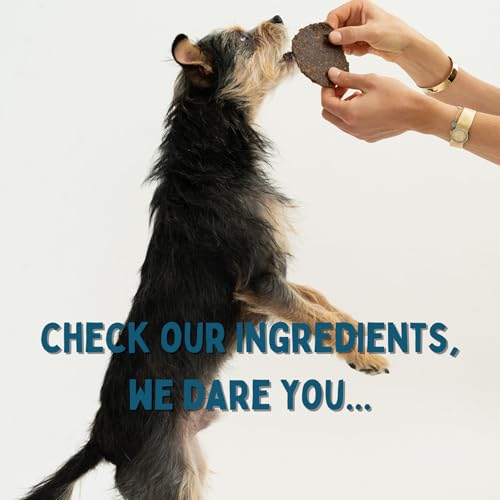 Winnie Lou Elk Jerky Dog Treats (2.5 Ounce (Pack of 1))