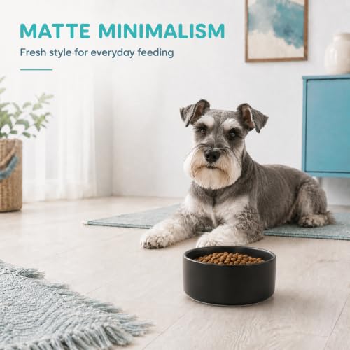 Ceramic Dog Bowls (Matte Black)
