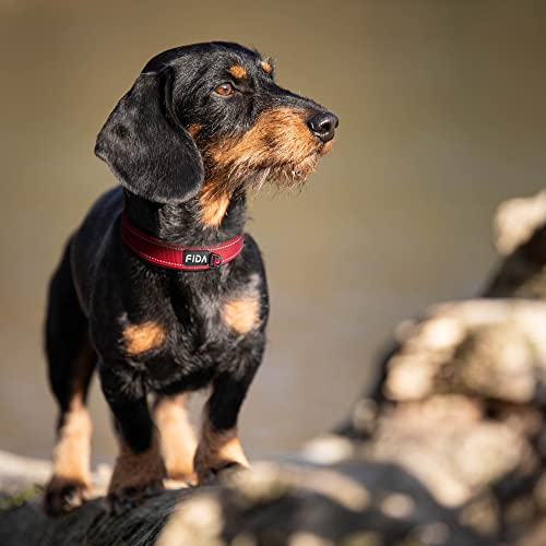 Heavy Duty Dog Collar for Medium Dogs with Metal Belt Buckle (Medium(14.5"-19") / Red)