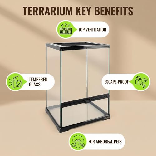 11 Gallon Reptile Glass Tank Vertical Terrarium 12"x12"x18" Habitat Enclosure with Front Openning Door and Top Screen Ventilation for Geckos (12x12x18 inch)
