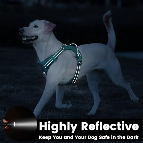 No Pull Dog Harness Front Clip Handle (Marrs Green / M(Neck:18.5-25.6",Chest:20.9-30.7"))