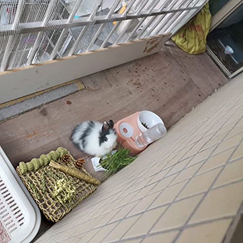 Rabbit Seagrass Mat Bunny Chew Toys for Teeth Hanging Activity Mat Rabbit Enrichment Activity Mat Small Animal Toys for Hamster Guinea Pigs Gerbil Birds (B)