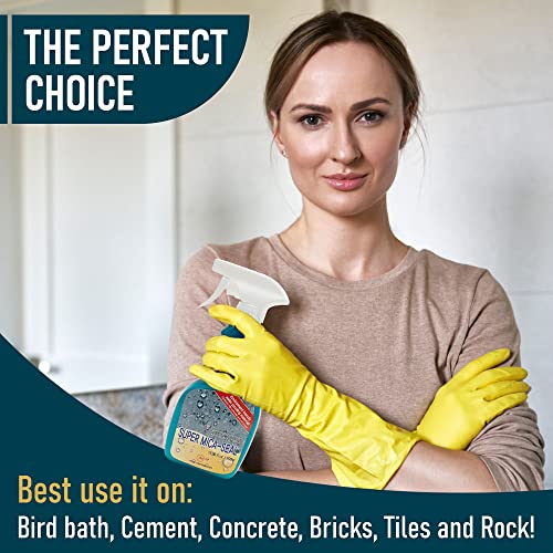 Mica Seal Waterproof Bird Bath & Concrete Sealer Spray