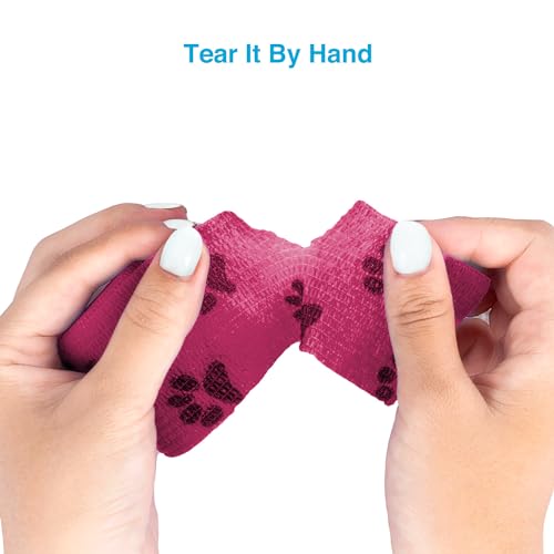 Pet Wrap Self (2 Inch (Pack of 6) / Pawprints B, 2 of Each Color)