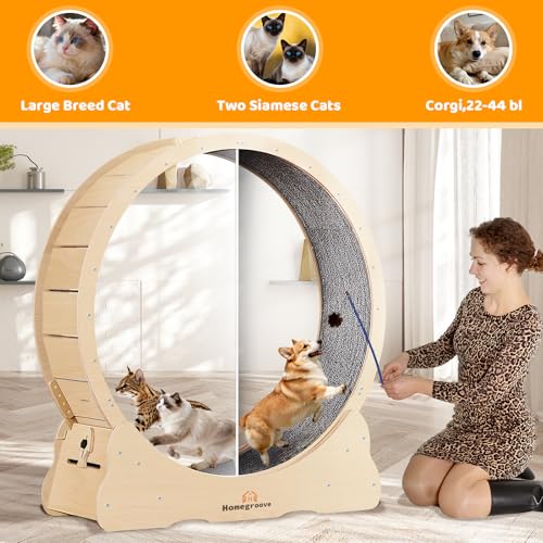 XXL Cat Exercise Wheel (XXL / Natural Wood)