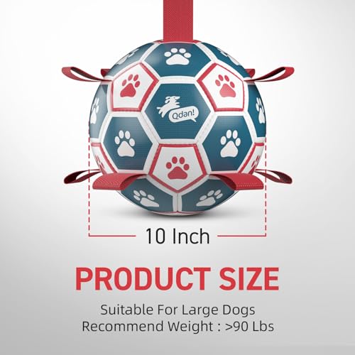 Large Outdoor Dog Toy (Blue-Red / Ultra Large Size 7 (10 Inch))
