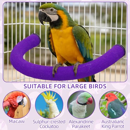 U Shaped Large Parrot Perch (X-Large / Purple)